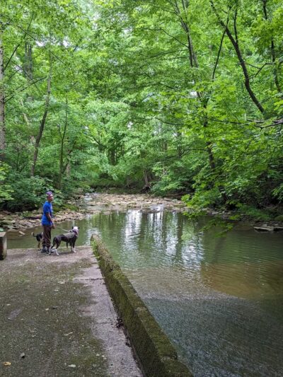 West Penn Trail Access - Tunnelton Road - Saltsburg, PA