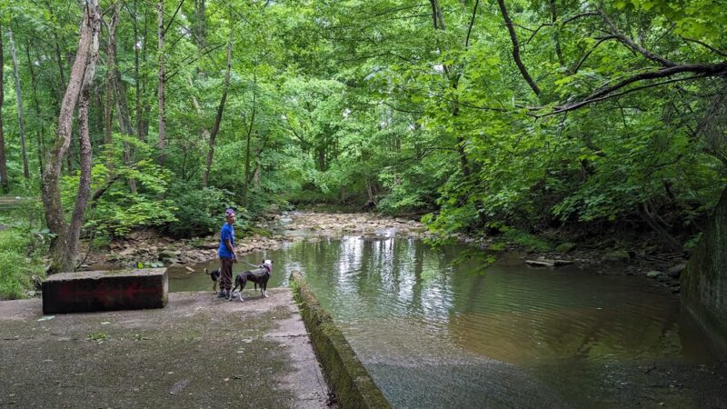 West Penn Trail Access - Tunnelton Road - Saltsburg, PA