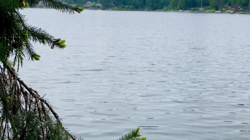 Beaver Lake Park - Sammamish, WA