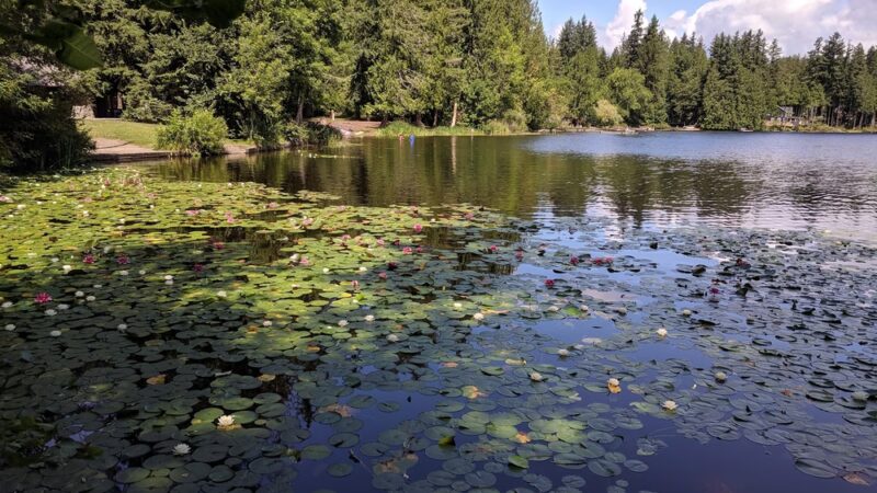 Beaver Lake Park - Sammamish, WA