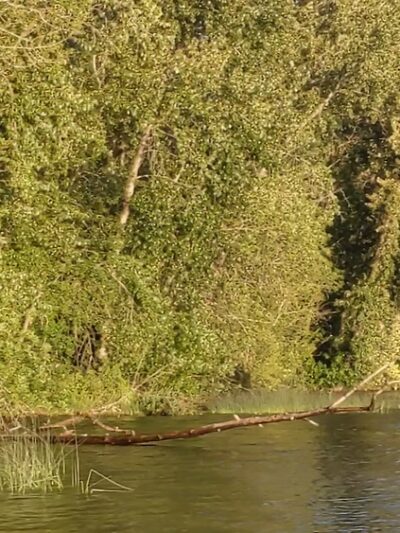 Sammamish Landing Park - Sammamish, WA