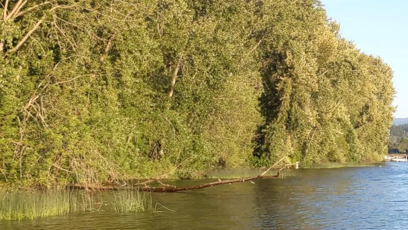 Sammamish Landing Park - Sammamish, WA