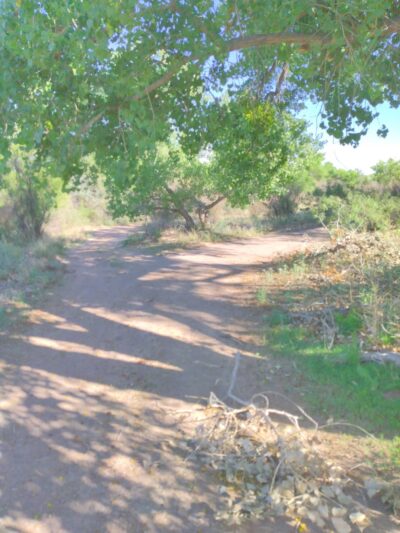 San Acacia Park - San Acacia, NM