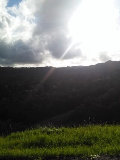 Hawthorne Canyon - San Anselmo, CA