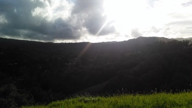 Hawthorne Canyon - San Anselmo, CA