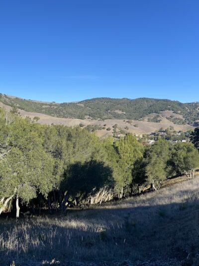 Oak Manor Trailhead - San Anselmo, CA