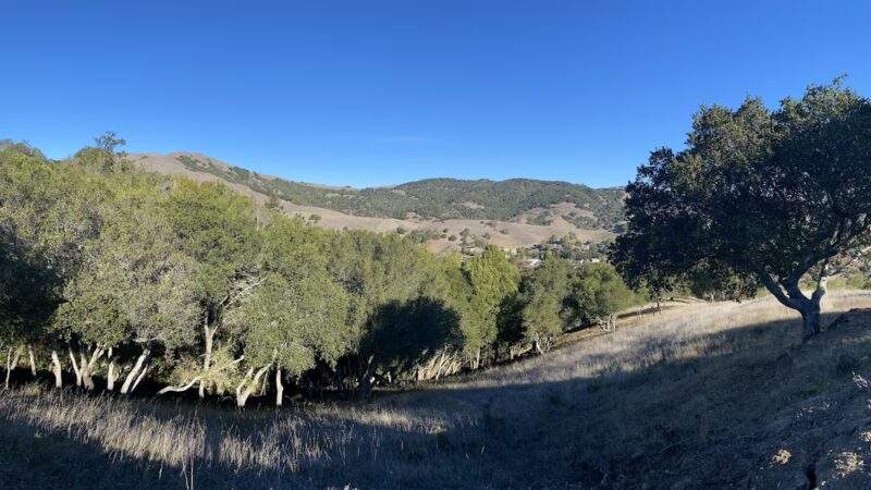 Oak Manor Trailhead - San Anselmo, CA
