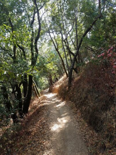 Oak Manor Trailhead - San Anselmo, CA