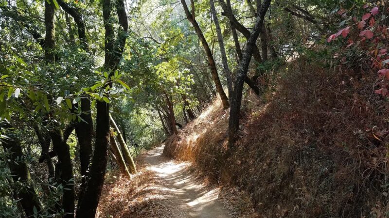 Oak Manor Trailhead - San Anselmo, CA