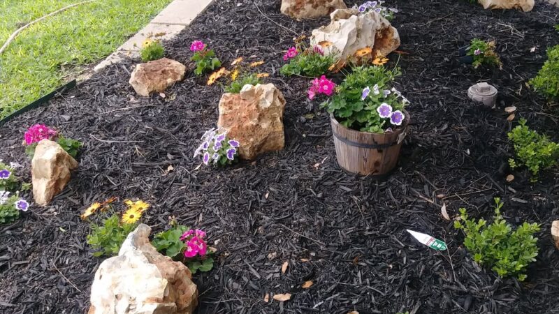 Community Park - San Antonio, TX
