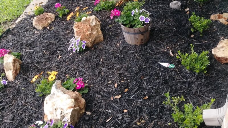 Community Park - San Antonio, TX