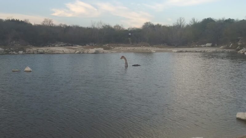 Dog Park - San Antonio, TX