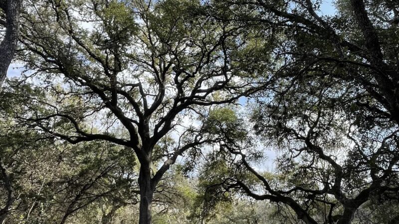 Inwood trailhead at salado creek bike trails - San Antonio, TX