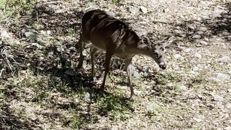 Inwood trailhead at salado creek bike trails - San Antonio, TX
