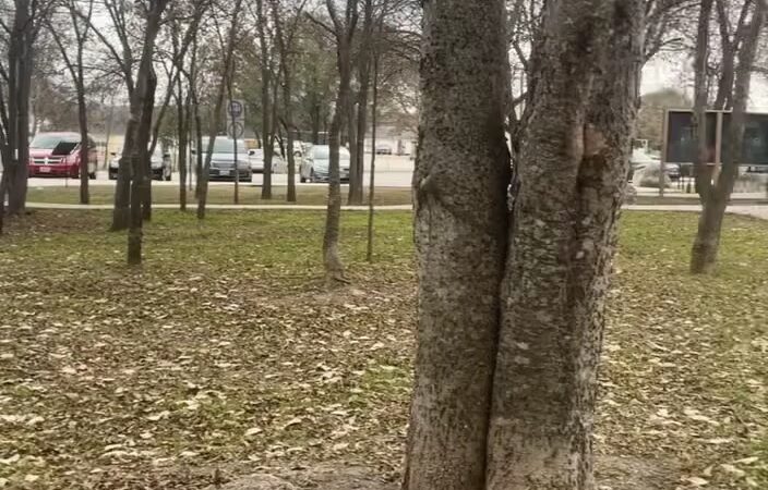 Jane Dubel Park - San Antonio, TX