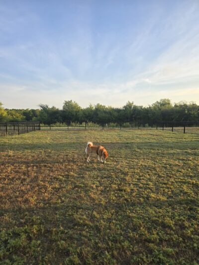 Kallison Ranch Park and Pool #2 - San Antonio, TX