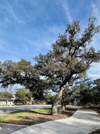 Marquis Trailhead - San Antonio, TX