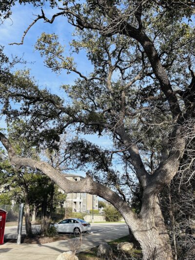 Marquis Trailhead - San Antonio, TX