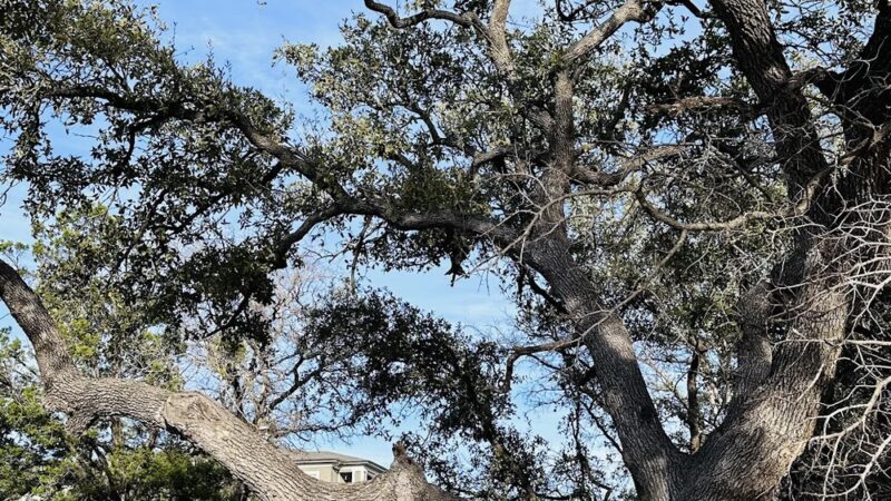 Marquis Trailhead - San Antonio, TX