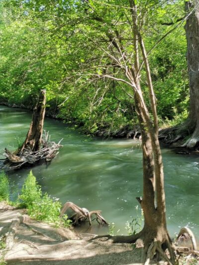 Medina River Natural Area - San Antonio, TX