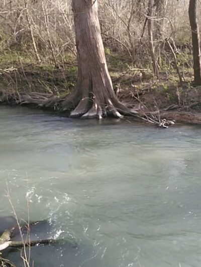 Medina River Natural Area - San Antonio, TX
