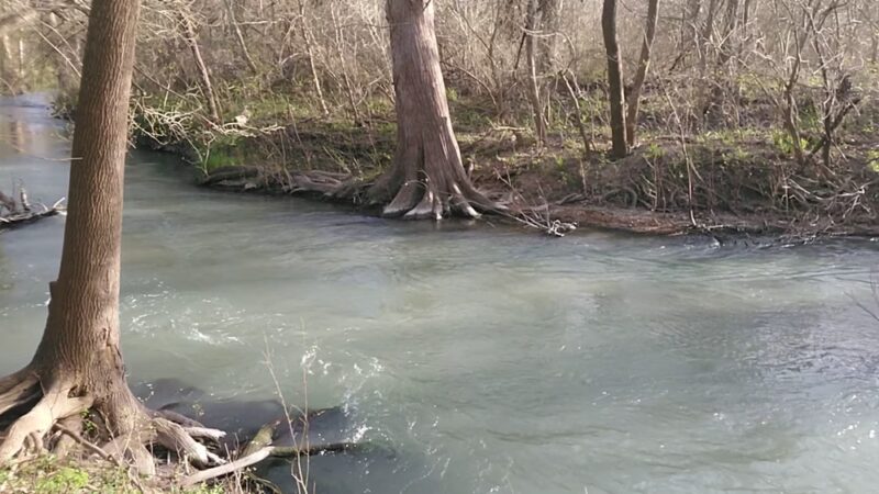 Medina River Natural Area - San Antonio, TX