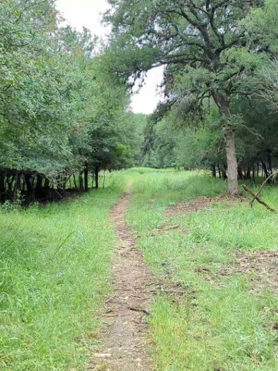 Mud Creek Park - San Antonio, TX
