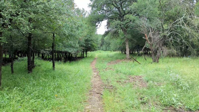 Mud Creek Park - San Antonio, TX