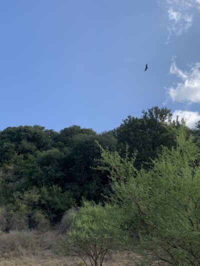 Mud Creek Park - San Antonio, TX
