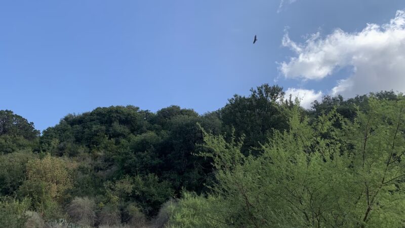 Mud Creek Park - San Antonio, TX
