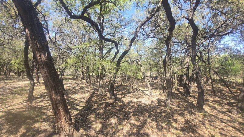 O. P. Schnabel Park - San Antonio, TX