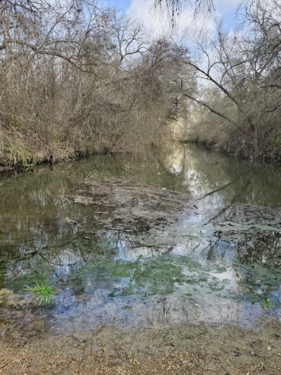 Palo Alto Road Trailhead - San Antonio, TX