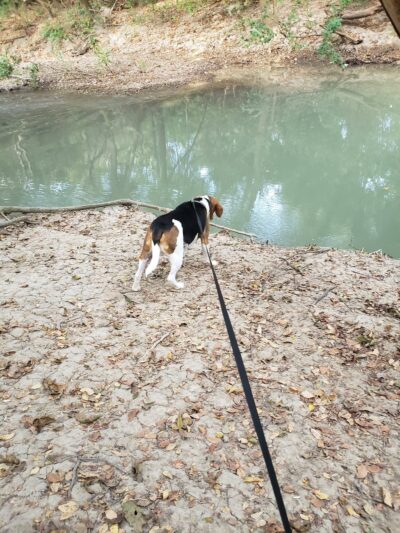 Palo Alto Road Trailhead - San Antonio, TX