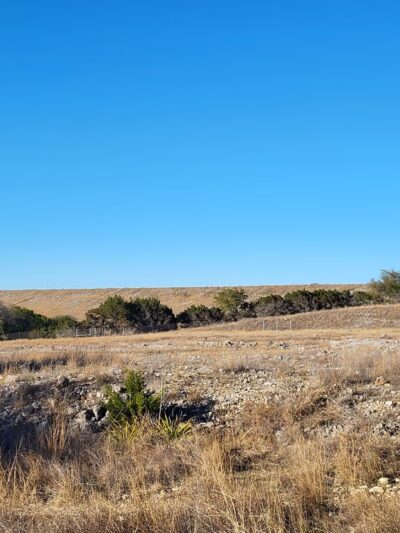 Panther Springs Park - San Antonio, TX