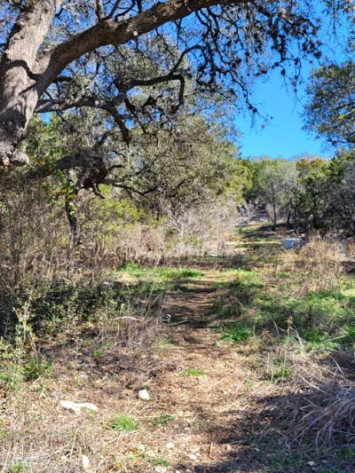Panther Springs Park - San Antonio, TX