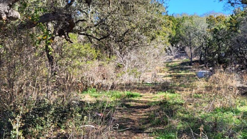 Panther Springs Park - San Antonio, TX