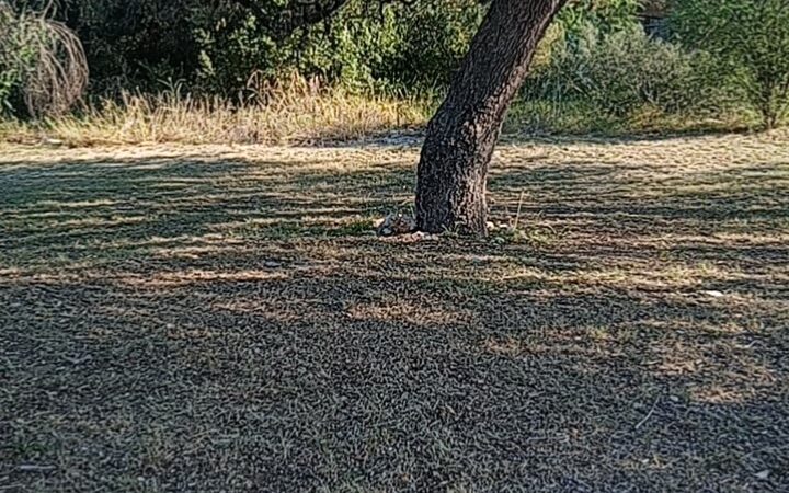 Park - San Antonio, TX