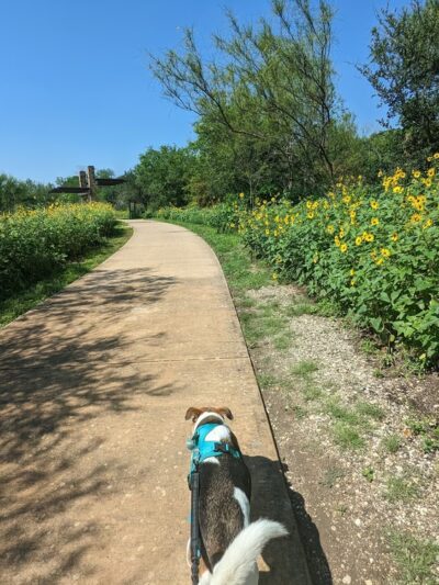 Riverwalk: E Theo Ave Trailhead - San Antonio, TX