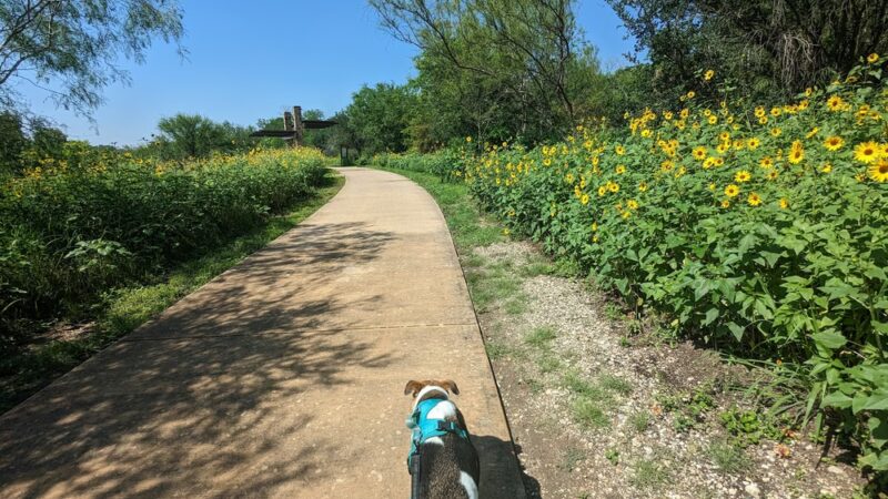 Riverwalk: E Theo Ave Trailhead - San Antonio, TX