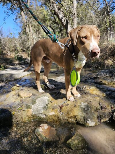 Stone Creek Park - San Antonio, TX