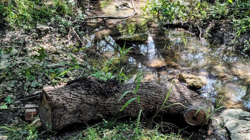 Stone Creek Park - San Antonio, TX
