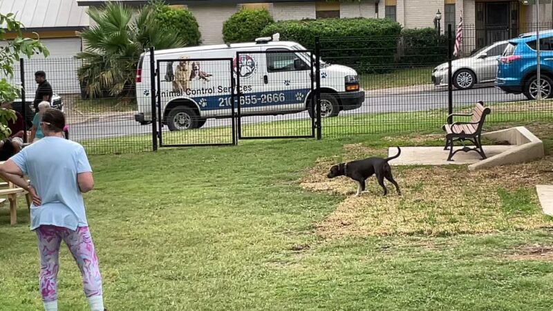 Takas Dog Park - San Antonio, TX