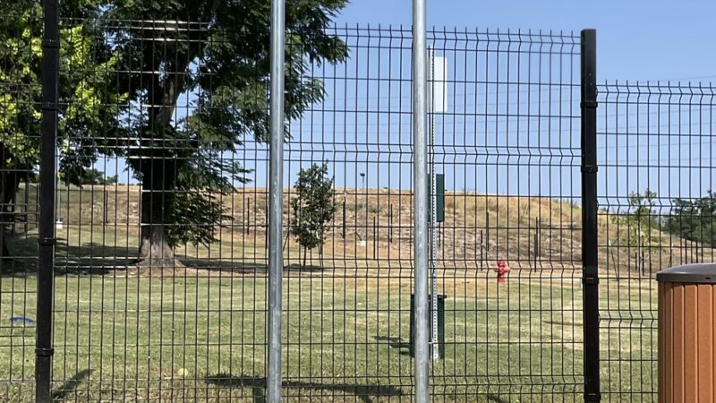 Takas Dog Park - San Antonio, TX