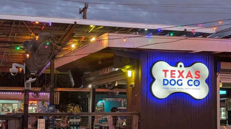 The Dog Co. Icehouse - San Antonio, TX