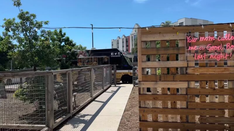 The Dog Co. Icehouse - San Antonio, TX