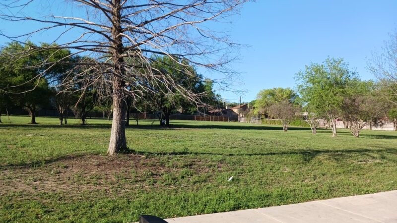 Timber Ridge Park - San Antonio, TX