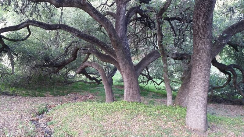 Oak Hills Park - San Antonio, TX