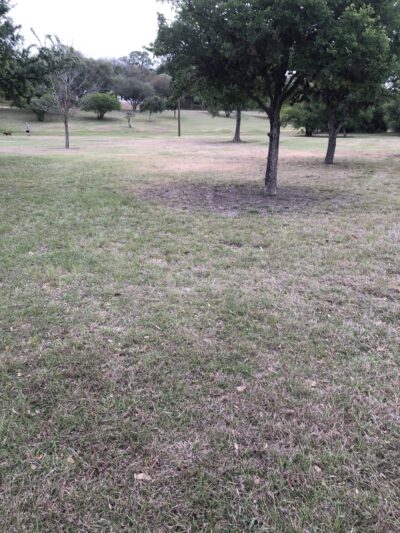 Oak Hills Park - San Antonio, TX