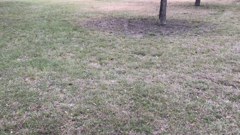 Oak Hills Park - San Antonio, TX