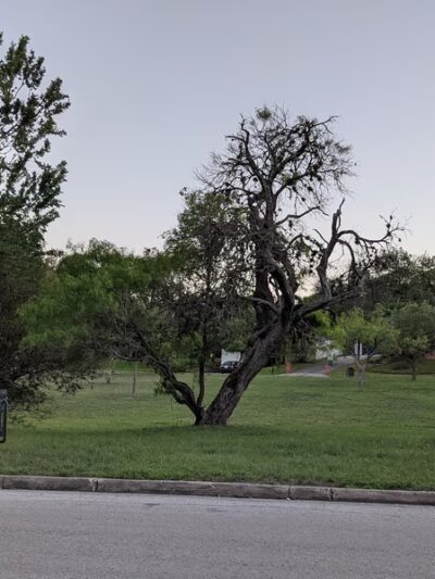 Oak Hills Park - San Antonio, TX